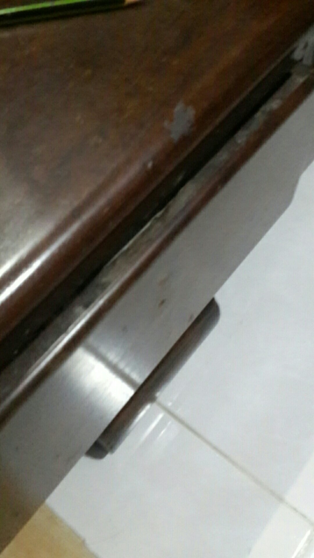 Poster Rangka Manusia