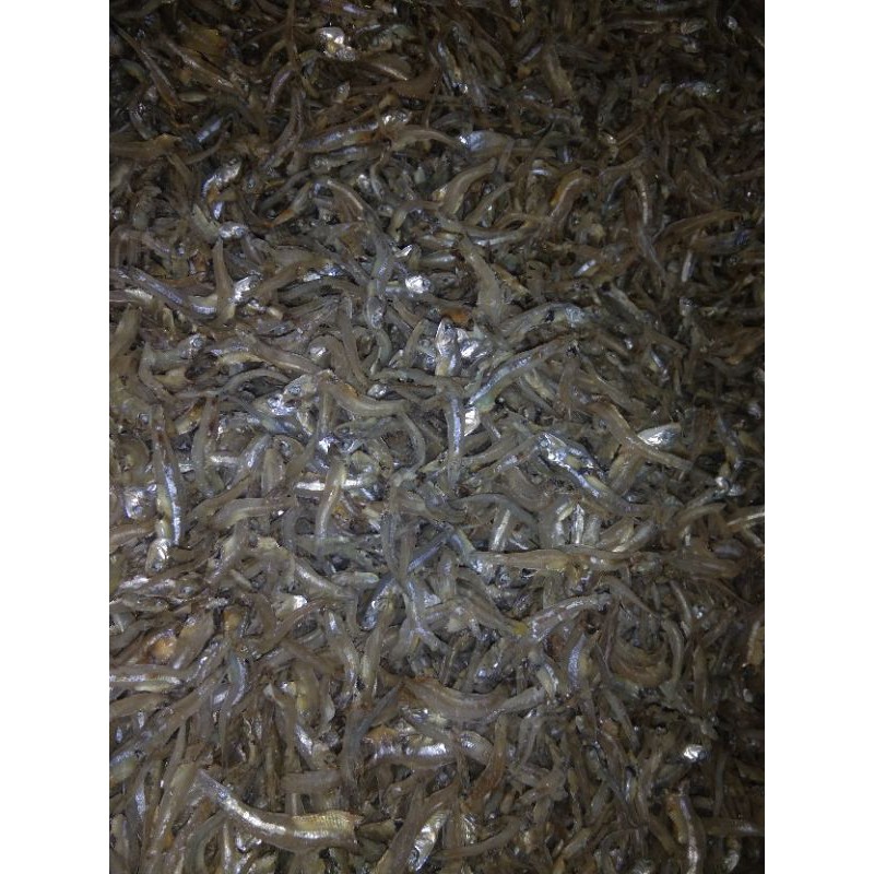 

Ikan Teri Kacang Super 1