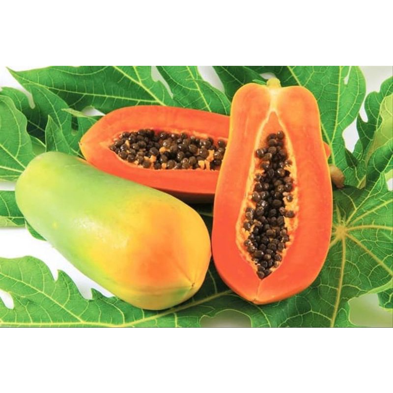 

pepaya california 1kg-1,5kg