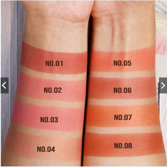 SIVANNA COLORS Gold Bee Blusher In The Peach #HF6036 Thailand / Blush On / Highlighter / Brush