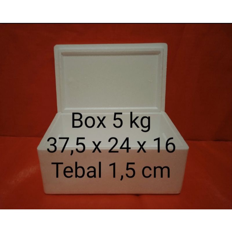 box styrofoam 5 kg / fish box