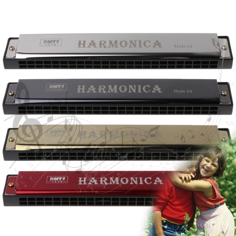 Mary Professional Organ Metal Mulut Harmonika 24lubang Untuk Pemula