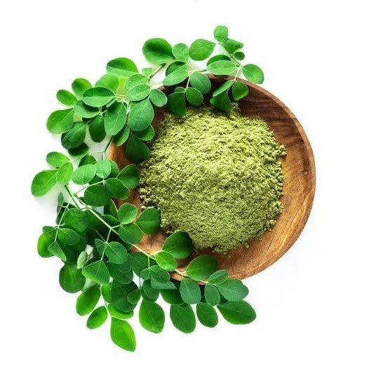 

DAUN KELOR - daun kering