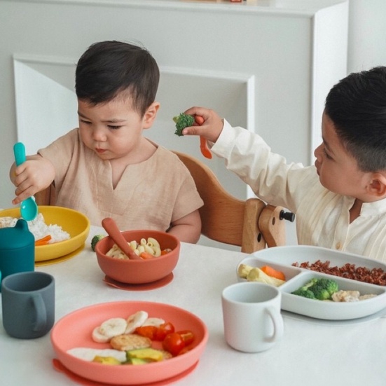 EKOBO Silicone Suction Divided Plate | Piring Silikon Bayi &amp; Anak Suction Plate Piring Makan Bayi Peralatan Mpasi Bayi Baby