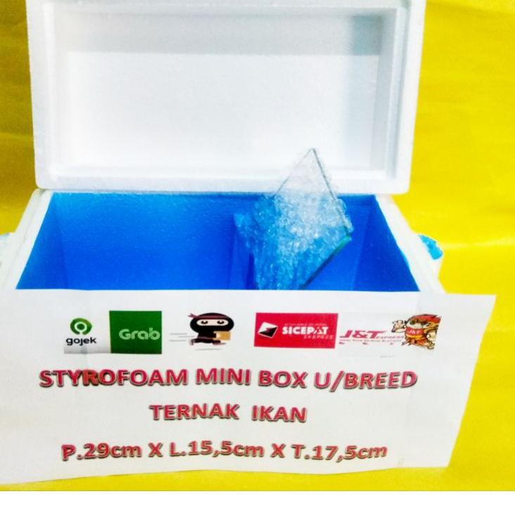 GROSIR_JAKARTA MINI BOX STYROFOAM U/BREED/PENJODOHAN/TERNAK IKAN CUPANG