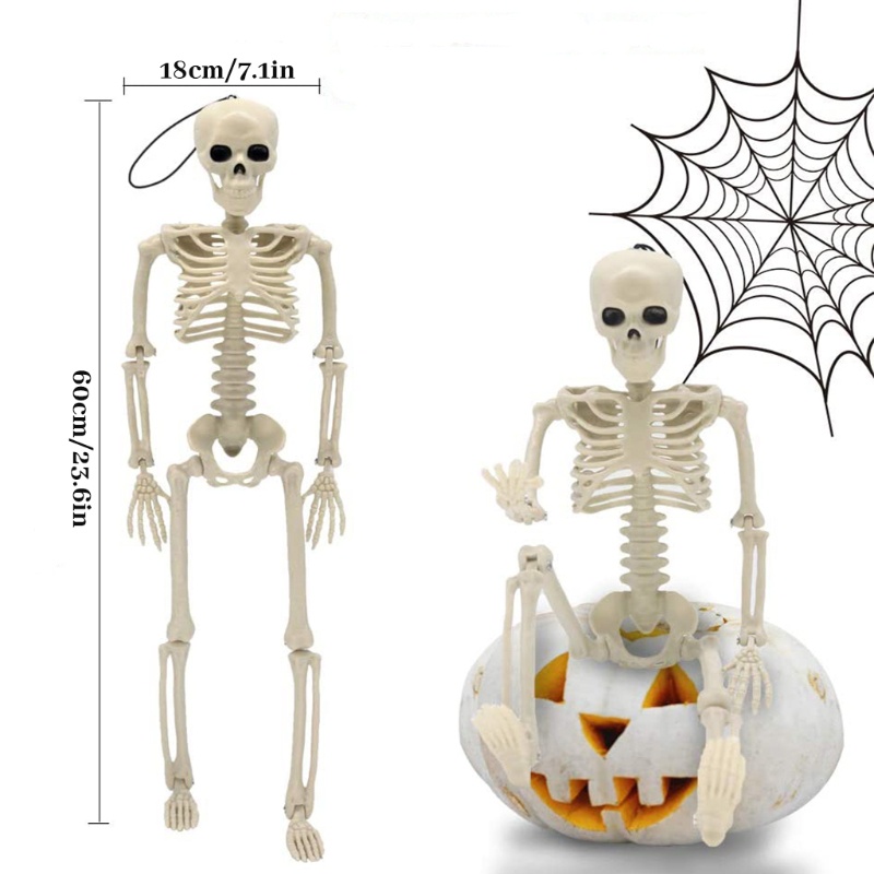 Tengkorak Full Body Posable Joints Untuk Dekorasi Pesta Halloween