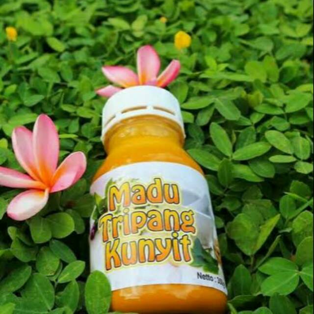 MADU TRIPANG KUNYIT | RAMUAN UNTUK MAAG ASAM LAMBUNG DAN GERD