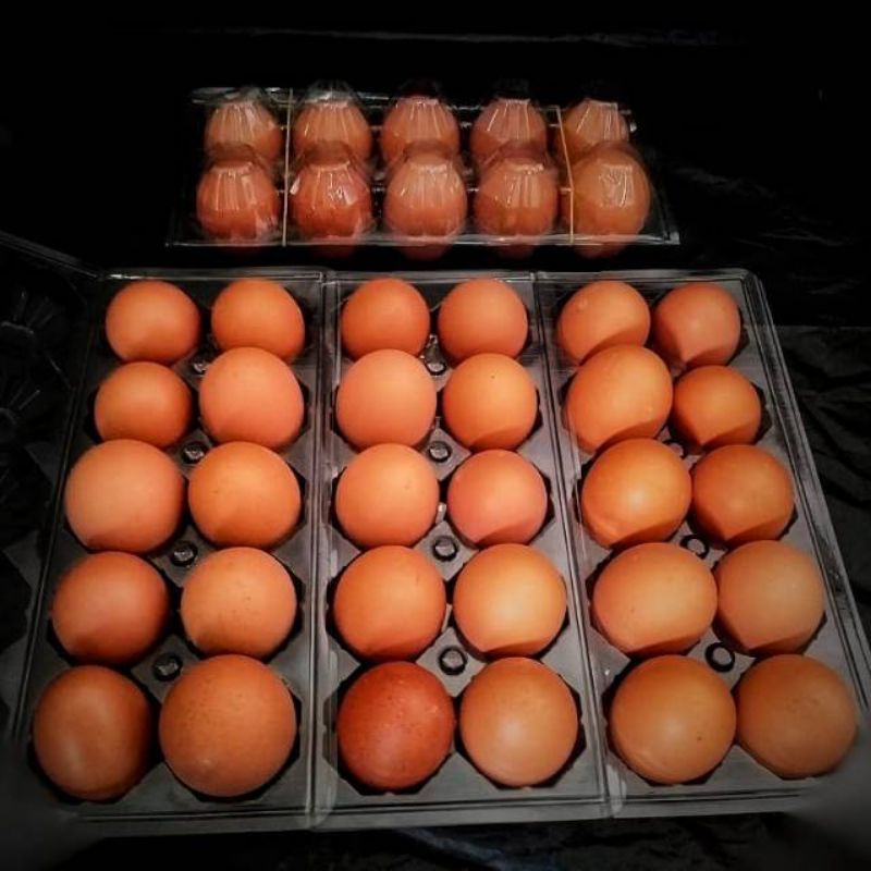 

telur ayam negeri mika 10 butir