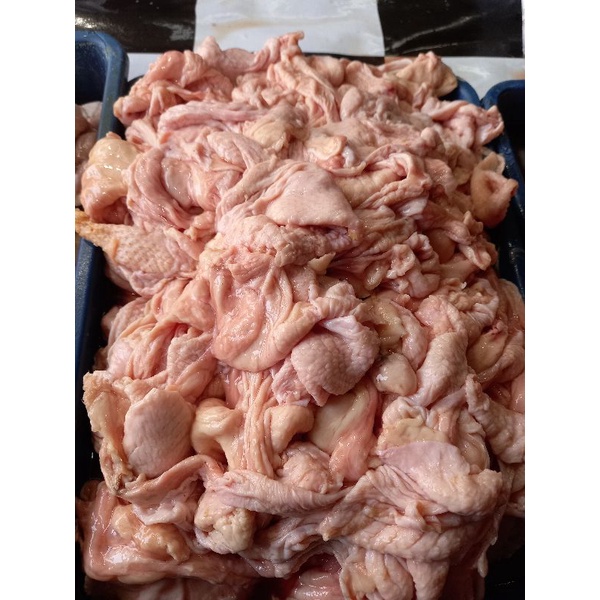 

KULIT AYAM BERSIH