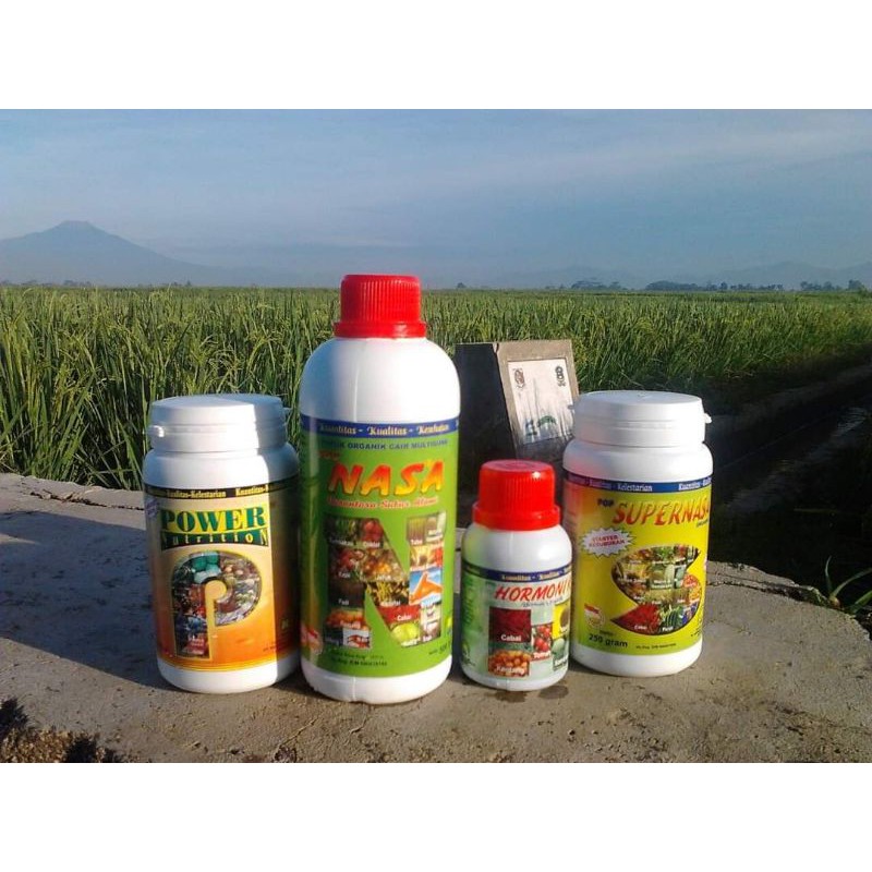 pupuk pelebat buah nasa