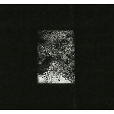 Sale The Trees And The Wild - Zaman, Zaman