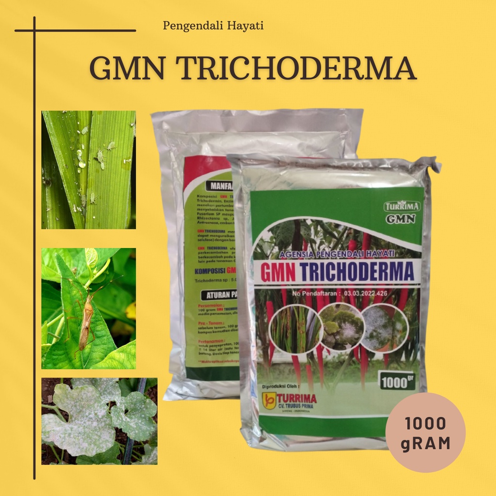 Jual Pupuk Tricoderma Fungisida Hayati Trichoderma Pupuk Hayati Tricoderma Gmn Padat 1 Kg 