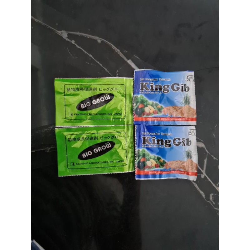 Paket BIG GROW BIGGROW dan KINGGIB KING GIB PEMBESAR BUAH NAGA