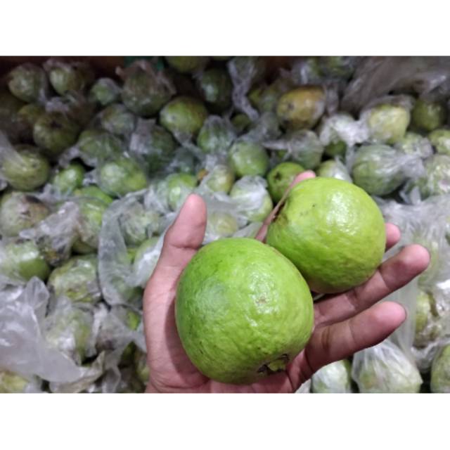 

Jambu biji merah 1/2kg