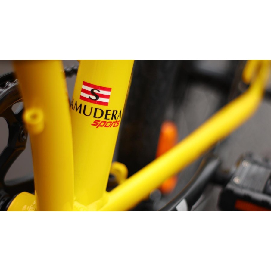 Sepeda Lipat Element Ecosmo 8 Speed Samudra Edition Garansi SNI-4