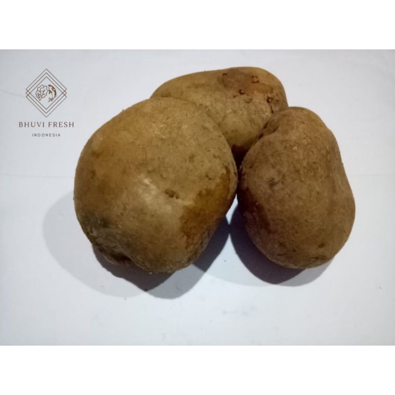 

Kentang Dieng Fresh Murah