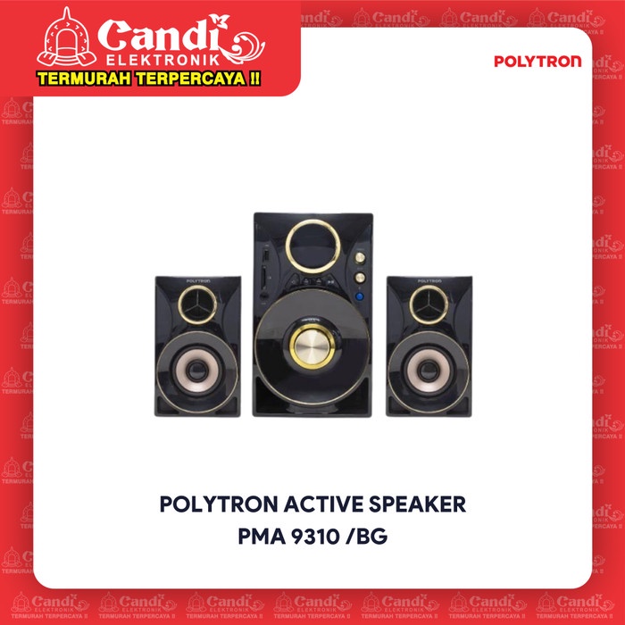 POLYTRON ACTIVE SPEAKER PMA 9310 /BG / PMA-9310BG / PMA9310BG