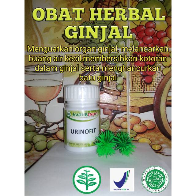 Obat Ginjal Batu Ginjal Ginjal Kotor Ginjal Lemah Susah Buang Air Kecil Gagal Ginjal Komplikasi Shopee Indonesia