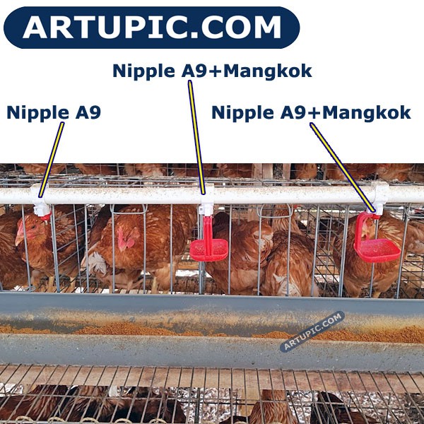 Mangkok LM untuk nipple nipel nepel ayam A9