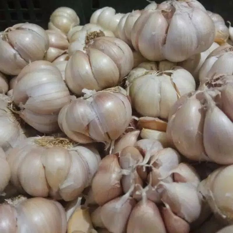 

Bawang Putih 250gr
