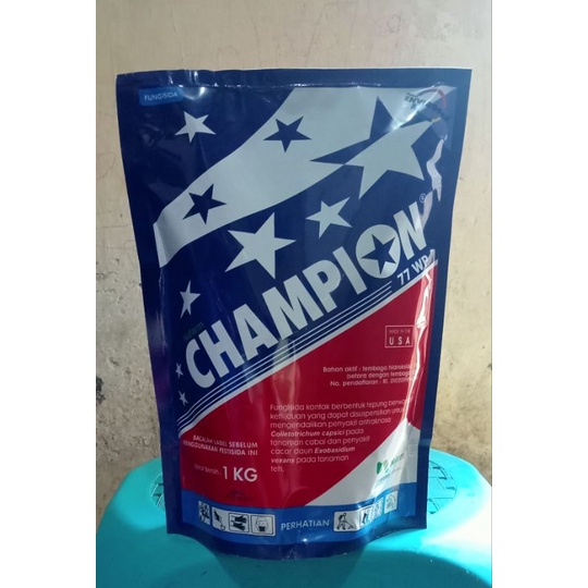 CHAMPION 77 WP 1 KG