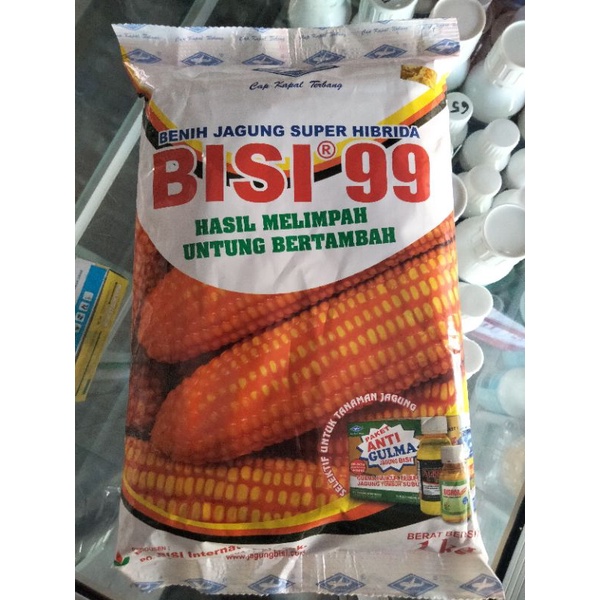 Bisi 99 ( Benih jagung )
