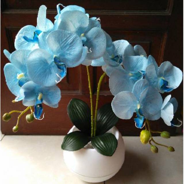 ANGGREK LATEX BIRU