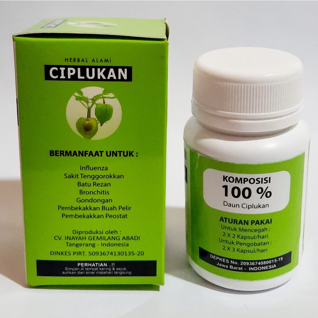 Kapsul Ciplukan Herbal Alami 60 Kapsul Inayah Herbal