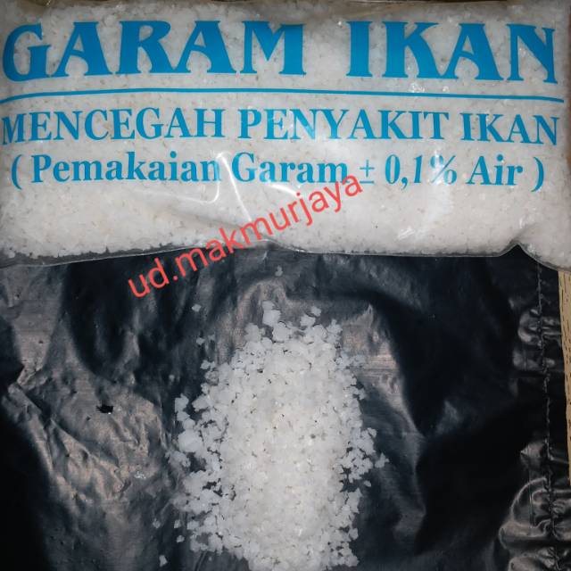 GARAM IKAN