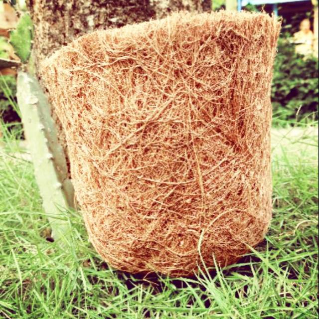  Pot  tanaman  dari bahan sabut kelapa Shopee  Indonesia