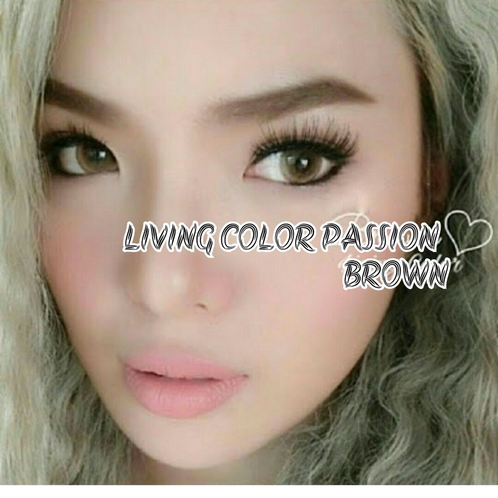 LIVING COLOR PASSION BROWN (-0.50 S/D -5.00)