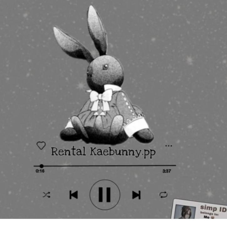 Serbuuuu.. {SEWA/RENTAL COSPLAY ANIME)