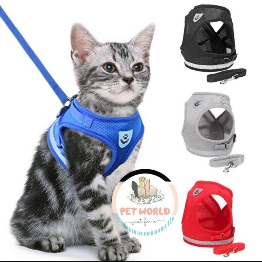 Rolfe Harness Kalung Tali Anjing Kucing Hewan Leash Collar