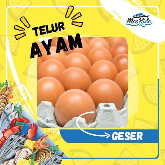 

Telur Ayam Negeri Segar Fresh Original Telor Ayam Negeri Kwalitas Premium Super Harga Termurah