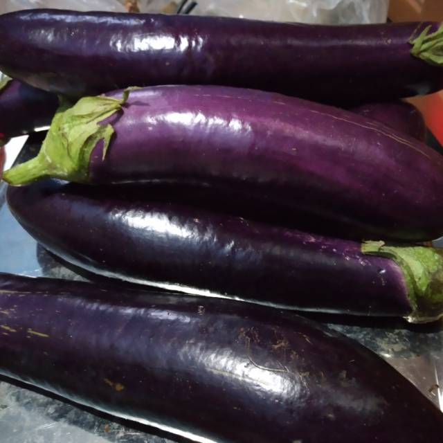 

Terong ungu 1kg