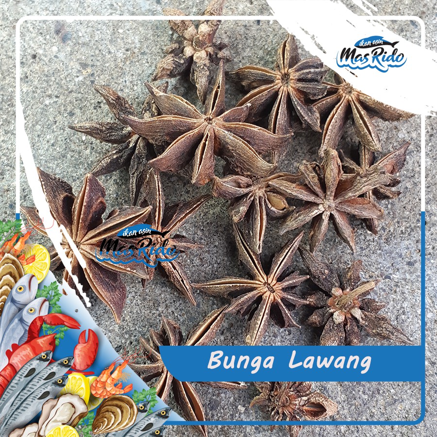 

Bunga Lawang / Bunga Lawang Pekak / Rempah Bunga Lawang Premium