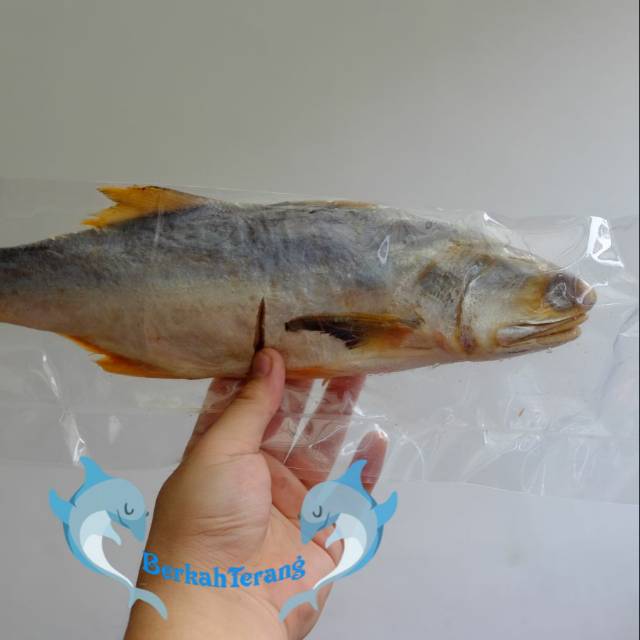 

Ikan Asin Kuro Wangi Super 500gr