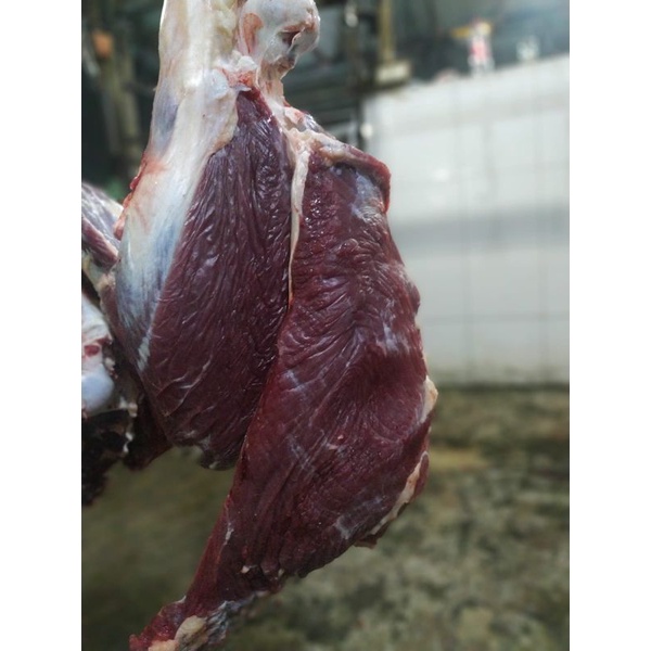 

daging sapi lokal