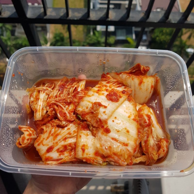 

MAKANAN KOREA! KIMCHI SAWI FRESH (HOMEMADE) by Yonna
