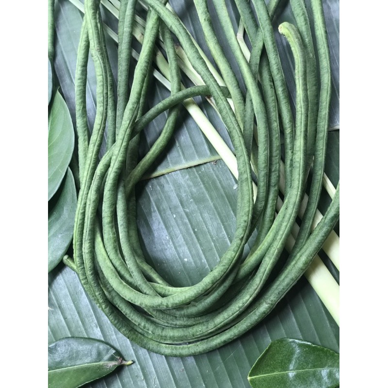 

(SAYUR SEGAR DEPOK) Kacang Panjang - 500 Gram