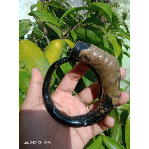 gelang akar Bahar bonggol size jumbo