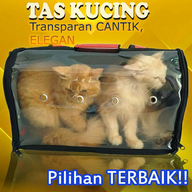 Keranjang Tas Kucing Transparan