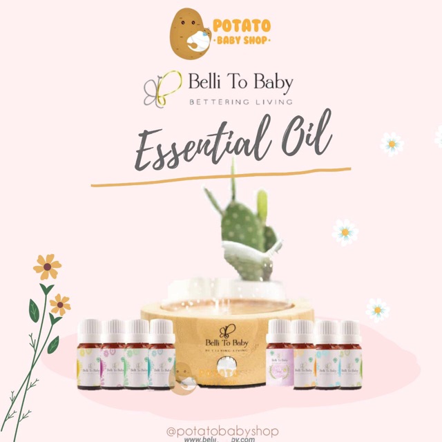 Belli to Baby Essential Oil - Peppermint