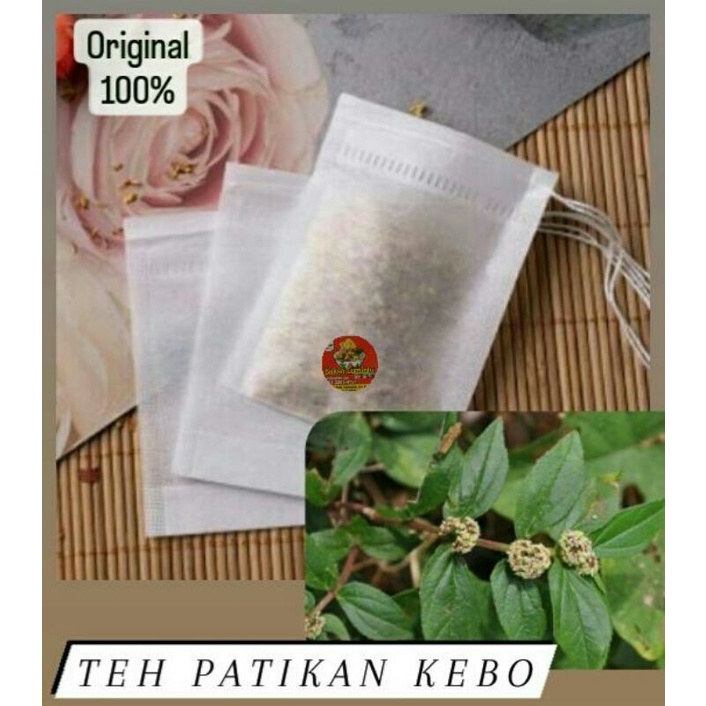 

TEH PATIKAN KEBO isi 20 pcd /patik an kebo, pati an original