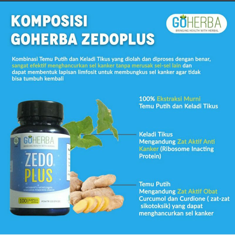 Zedoplus Dan Zedomax Obat Kanker Dan Tumor Terbukti Ampuh Indonesia