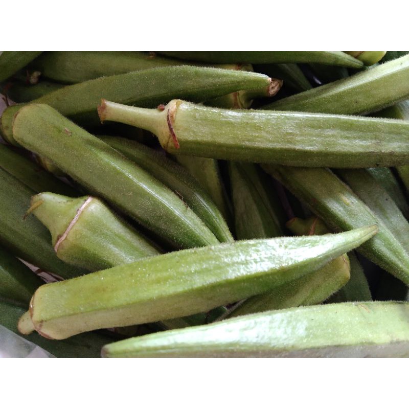 sayur okra fresh 500gr