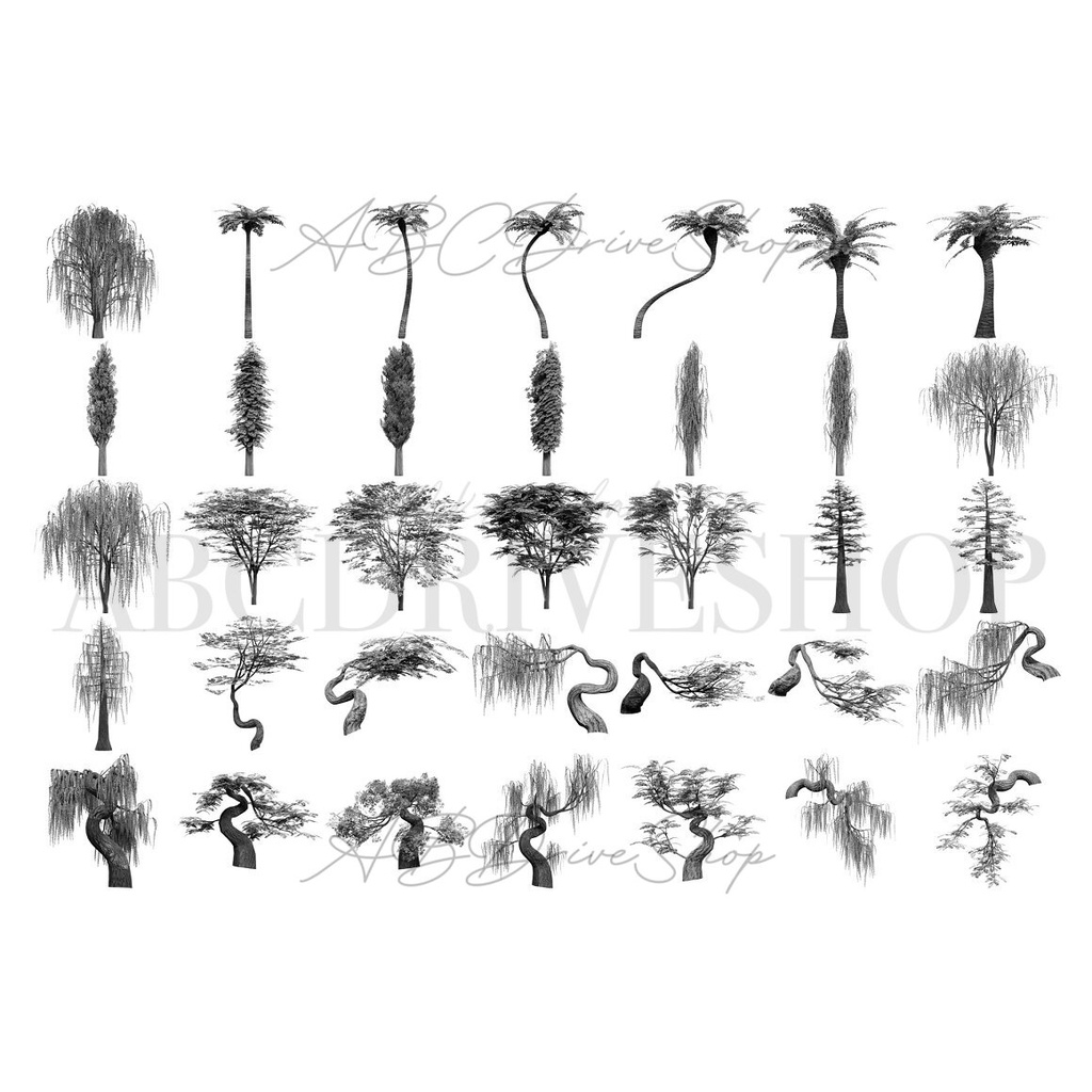 Procreate Brush - Willow Tree Procreate Brushes