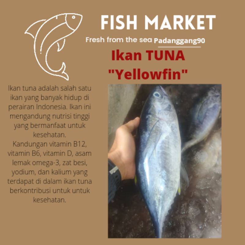 

Ikan Tuna Fresh