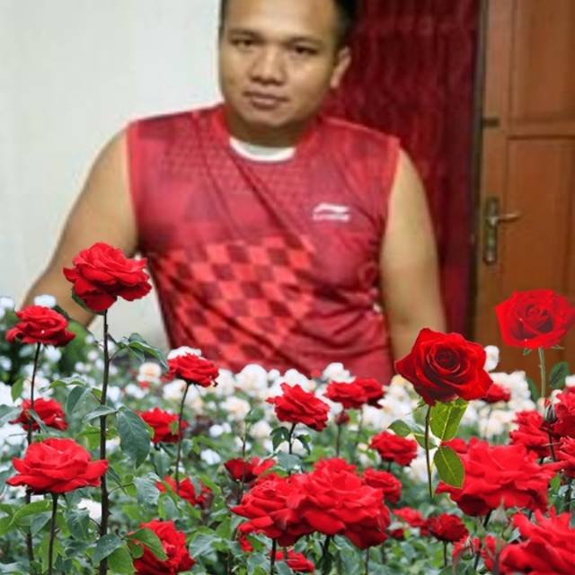 barudi90