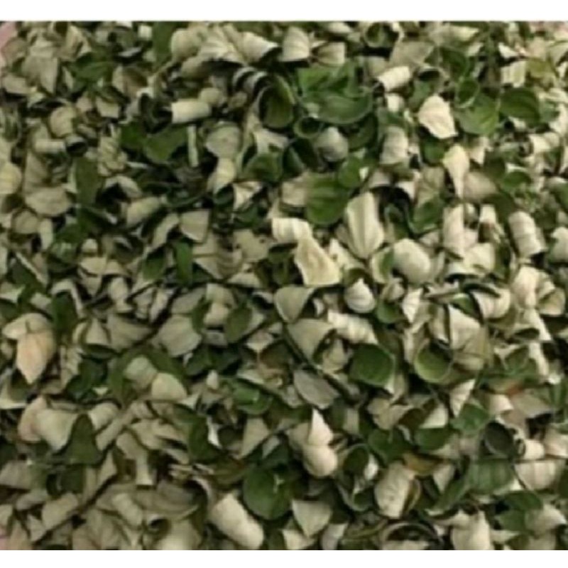 

Daun Bidara kering